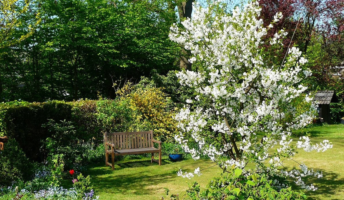 Planting a Wildlife Hedge on Exposed Coastal Land