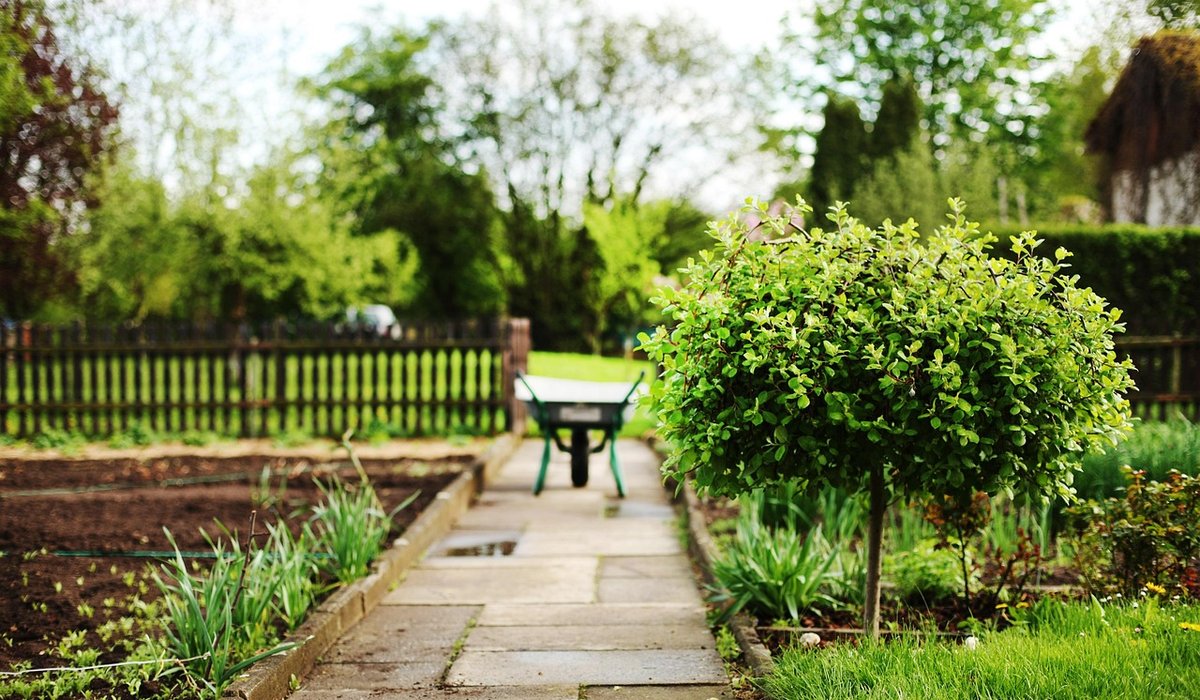 Rotating Crops in a Small Coastal Kitchen Garden